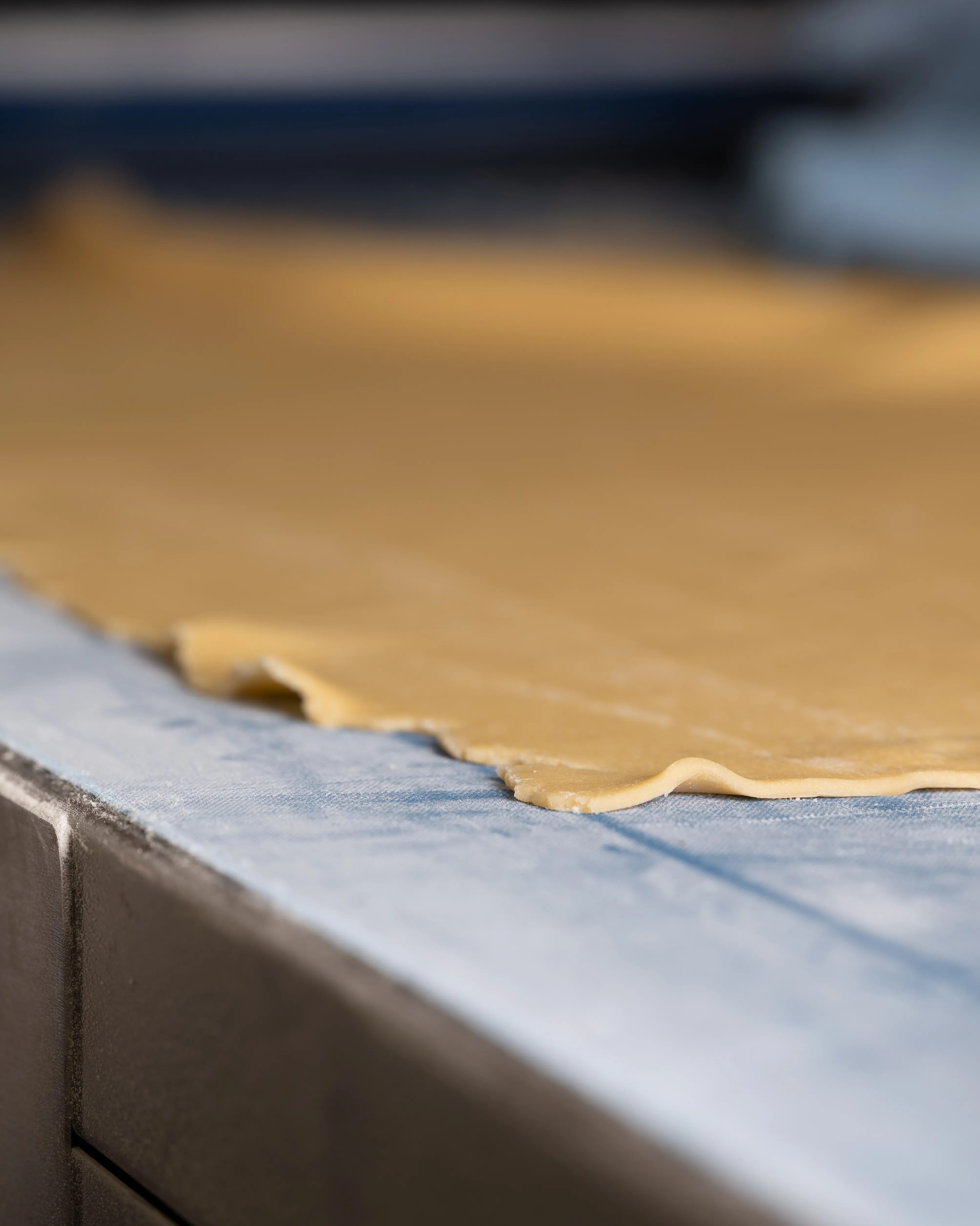 Kadr z pracowni Omni Kaiser, zdjęcie 4